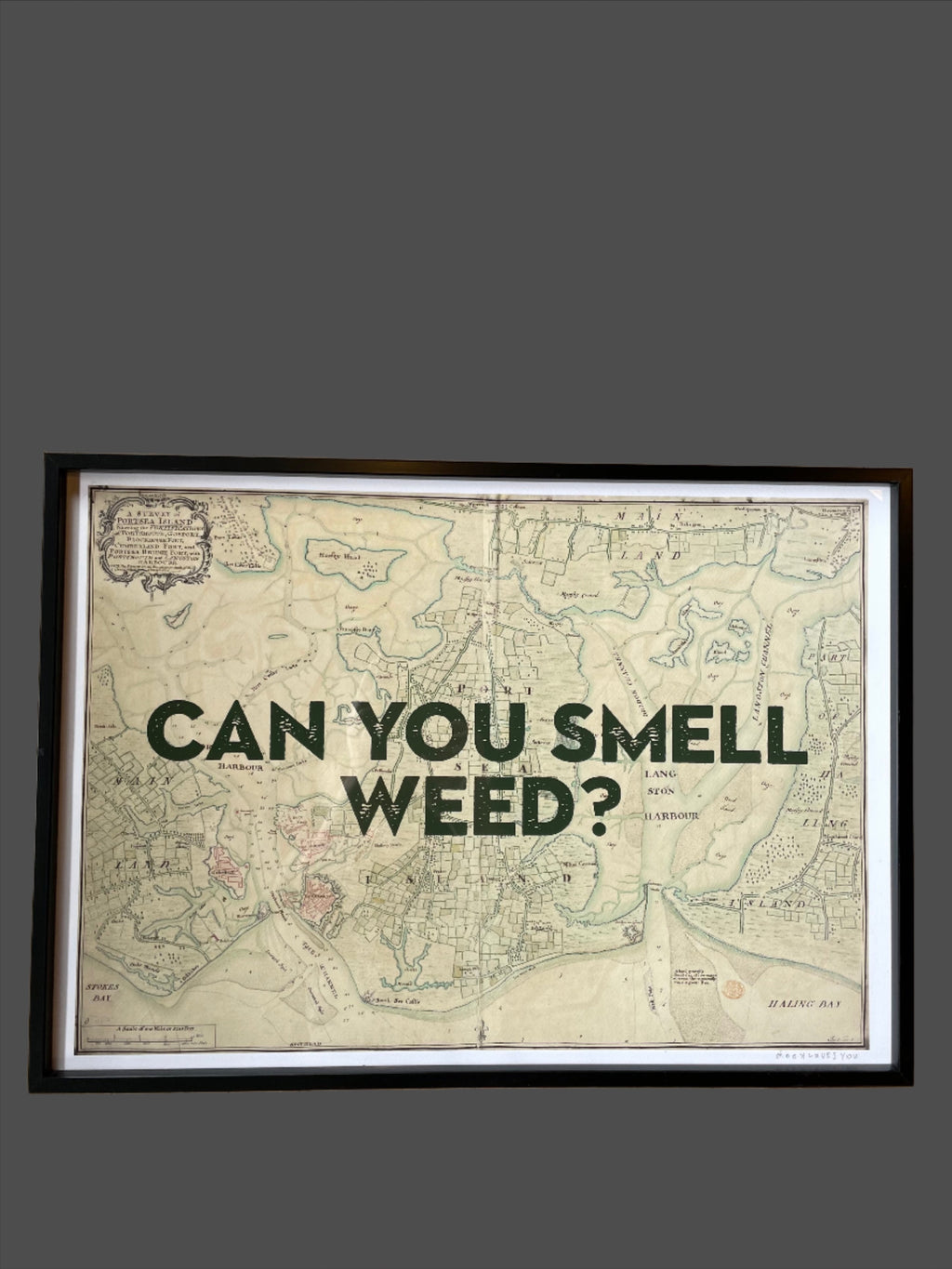 Can You Smell Weed